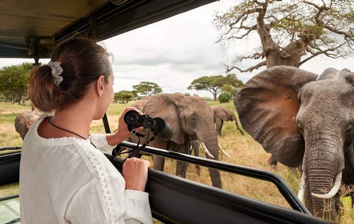 Mikumi National Park Safari Day Trip from Zanzibar