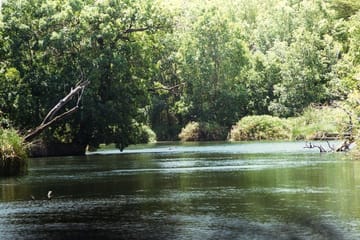 2-Day Wildlife Safari from Mombasa to Tsavo National Parks