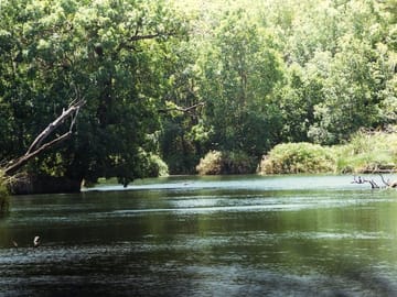Mzima springs