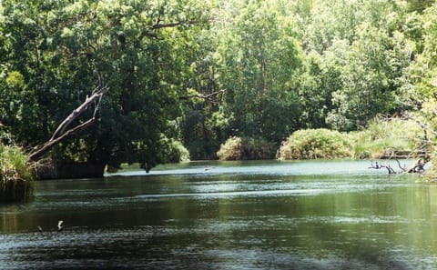 2-Day Wildlife Safari from Mombasa to Tsavo National Parks