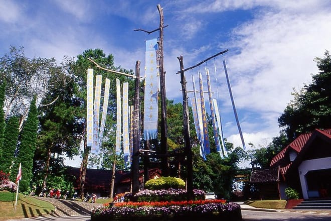Doi Tung & Royal Villa Guided Cultural Tour photo 3