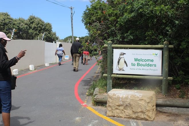 Welcome to Boulders Beach Penguin Colony