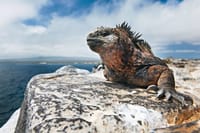  4-Day Galapagos Island Hopping Tour 1