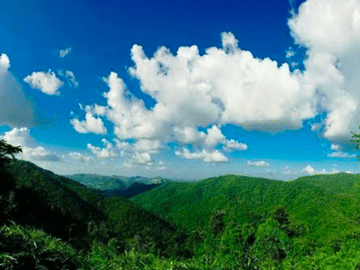 Journey of the Phuket Instagram Tour