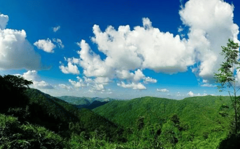 Hiking and Birdwatching in Khao Yai National Park