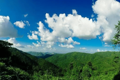 Khao Yai National Park Adventure: Waterfalls & Hiking Trails