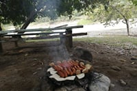 Full Day Private Riverside Picnic with transport from Medellin 5