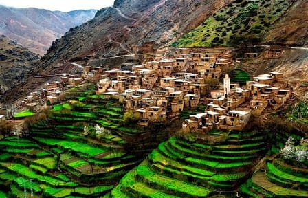 Jeep Safari Adventure in the Atlas Mountains and Agafay Desert