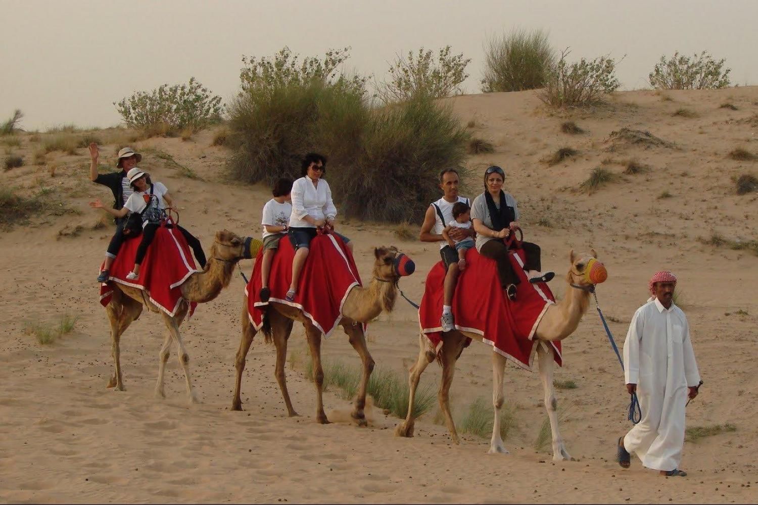 Combo Package: Dubai Tour and Desert Safari with Daytur