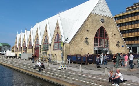 Gothenburg Highlights Tour: Landmarks and Historic Haga