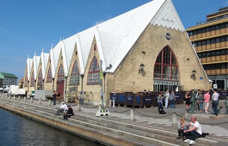Gothenburg Highlights Tour: Landmarks and Historic Haga