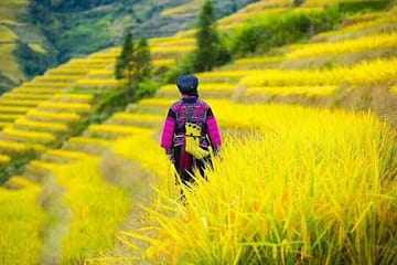 Private Day Tour of Longji Rice Terraces and Minority Villages