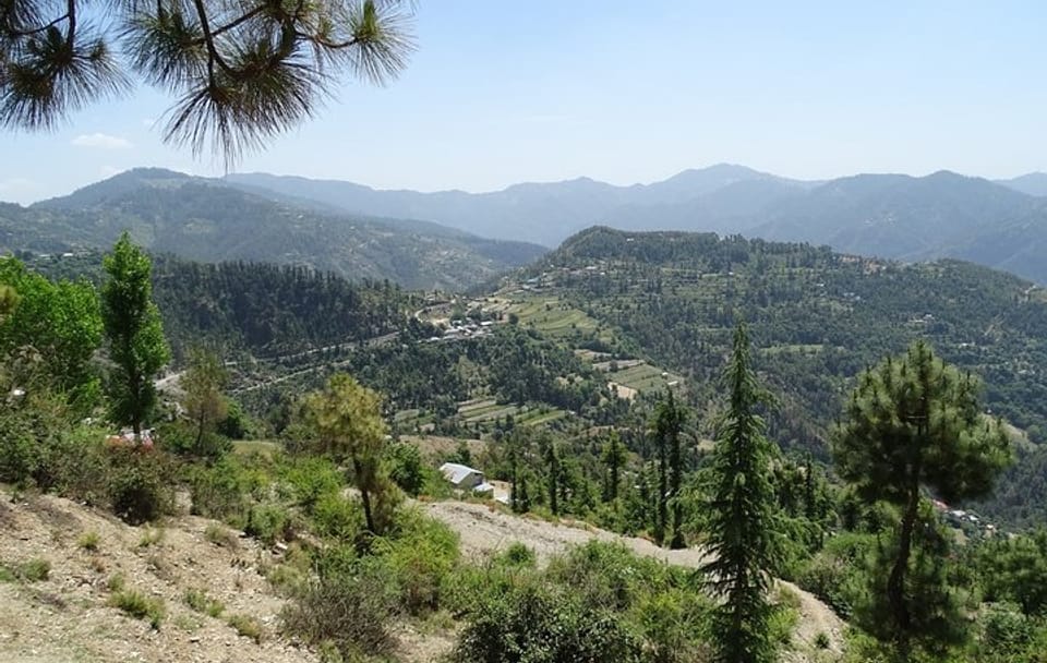 Colonial Hill Station Tour of Chail, Chandigarh, and Fagu