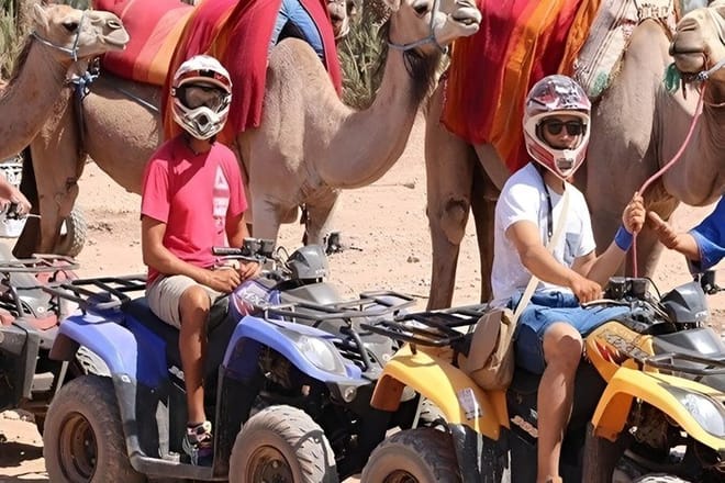 Camel Ride in the Marrakech Palm Grove 5