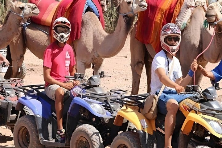 Camel Ride in the Marrakech Palm Grove 5