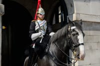 London Royal Crown and Changing of The Guard Walking Tour 3