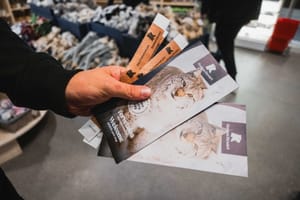 Day tour to Ranua Wildlife Park - Visit the Arctic Animals in Summer