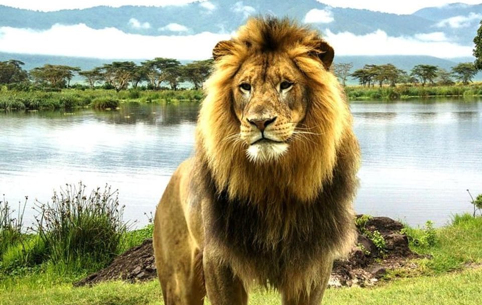 2-Day Wildlife Safari in Lake Nakuru National Park, Kenya