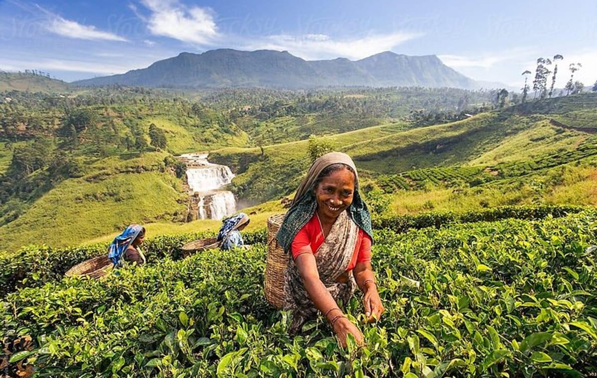 Miles and Smiles away 6 Nights 7 Days