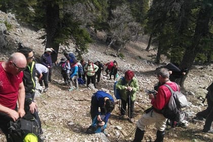 From Chefchaouen: Full day excursion to Jbel Lakraa (highest in Talassemtane Park)
