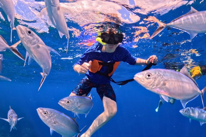 Cozumel Cruise Excursion: Private Speedboat for 8-12 6