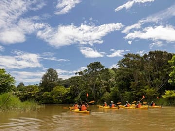 Kayaking and Culinary Tour in Clevedon, New Zealand