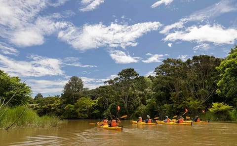Kayaking and Culinary Tour in Clevedon, New Zealand