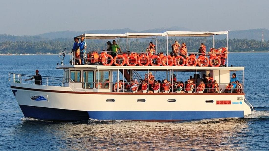  From Hikkaduwa: Mirissa Whale Watching Tour 5