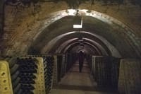Private Wine Tour