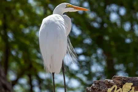 6 Days 5 Night Safari