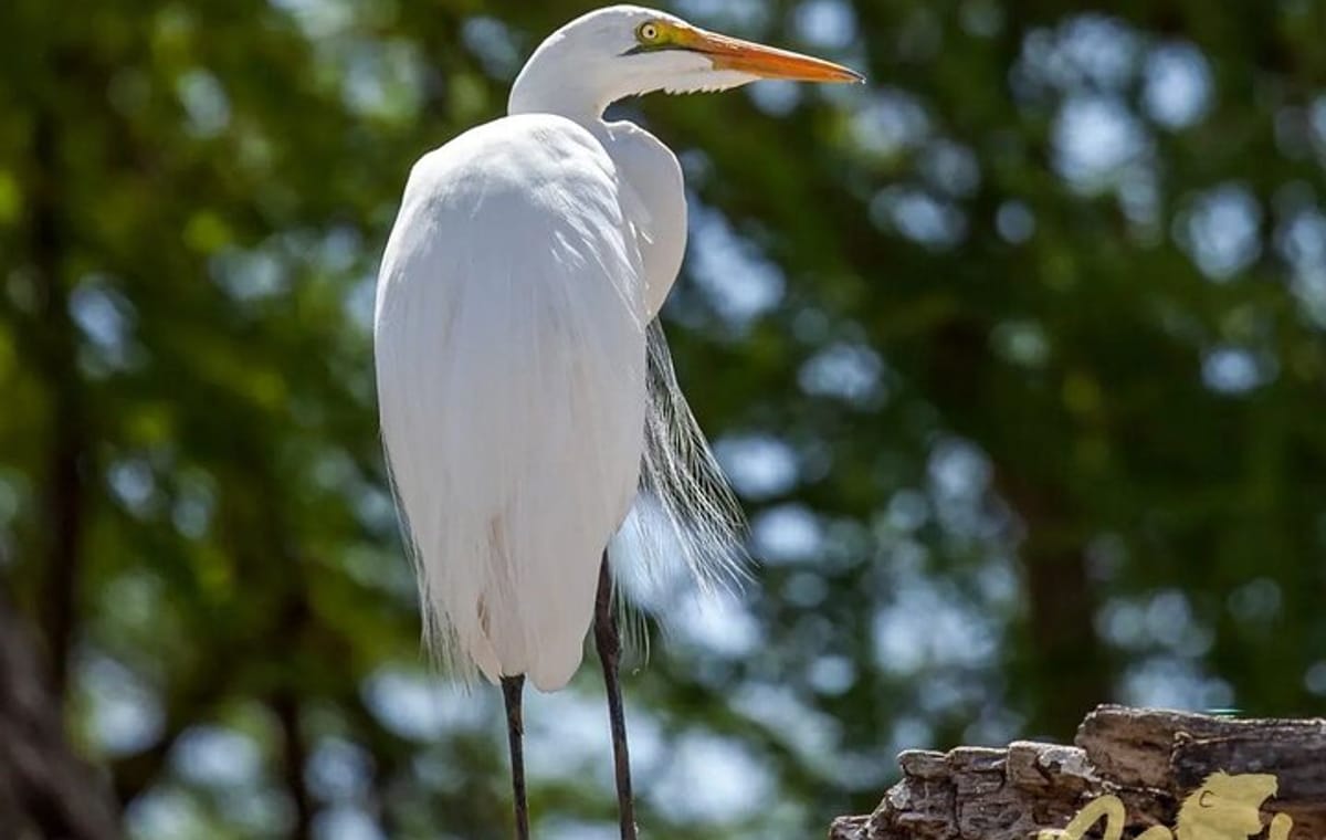 6 Days 5 Night Safari