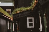 Tórshavn City Walk | Private Tour 3