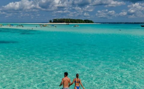 Private Dhow Boat Excursion to Mnemba Atoll from Nungwi