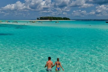 Private Dhow Boat Excursion to Mnemba Atoll from Nungwi