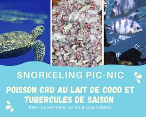 SNORKELING PICNIC