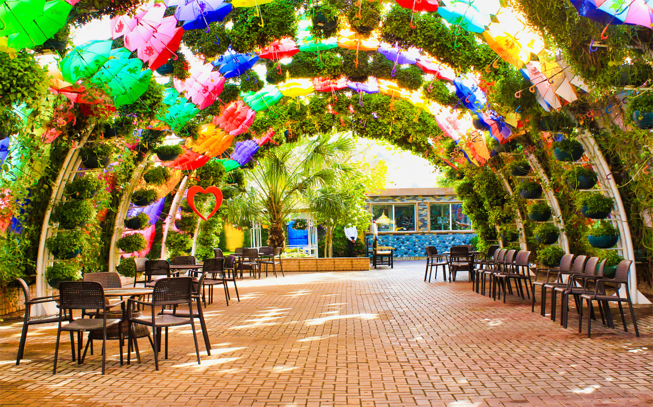 Dubai Butterfly Garden Tickets
