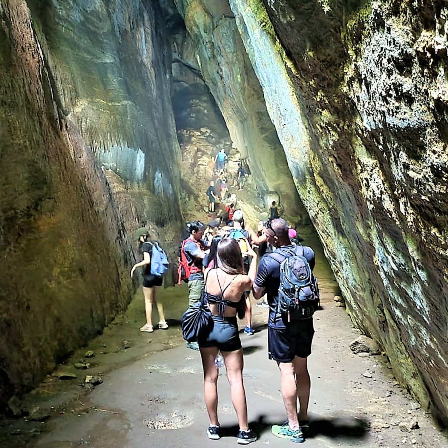 Tijuca Forest Caves and Falls Tour in Rio de Janeiro