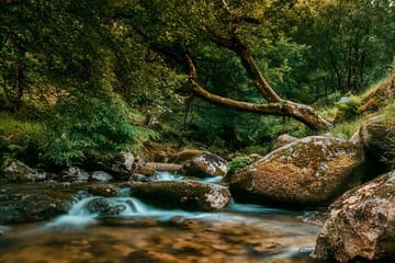 Wicklow Mountains and Glendalough Day Trip from Dublin