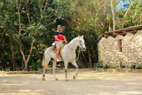 Horseback Riding Tour in the Tropical Jungle from Cancun and Riviera Maya 5