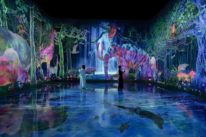 Токио: входной билет в teamLab Planets и 24-часовой билет на метро
