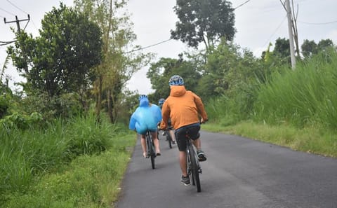 Bali Cycling Tour through Tegalalang Rice Terrace
