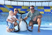 Premium 10 Minutes Dolphin Swimming Experience - Hurghada 6