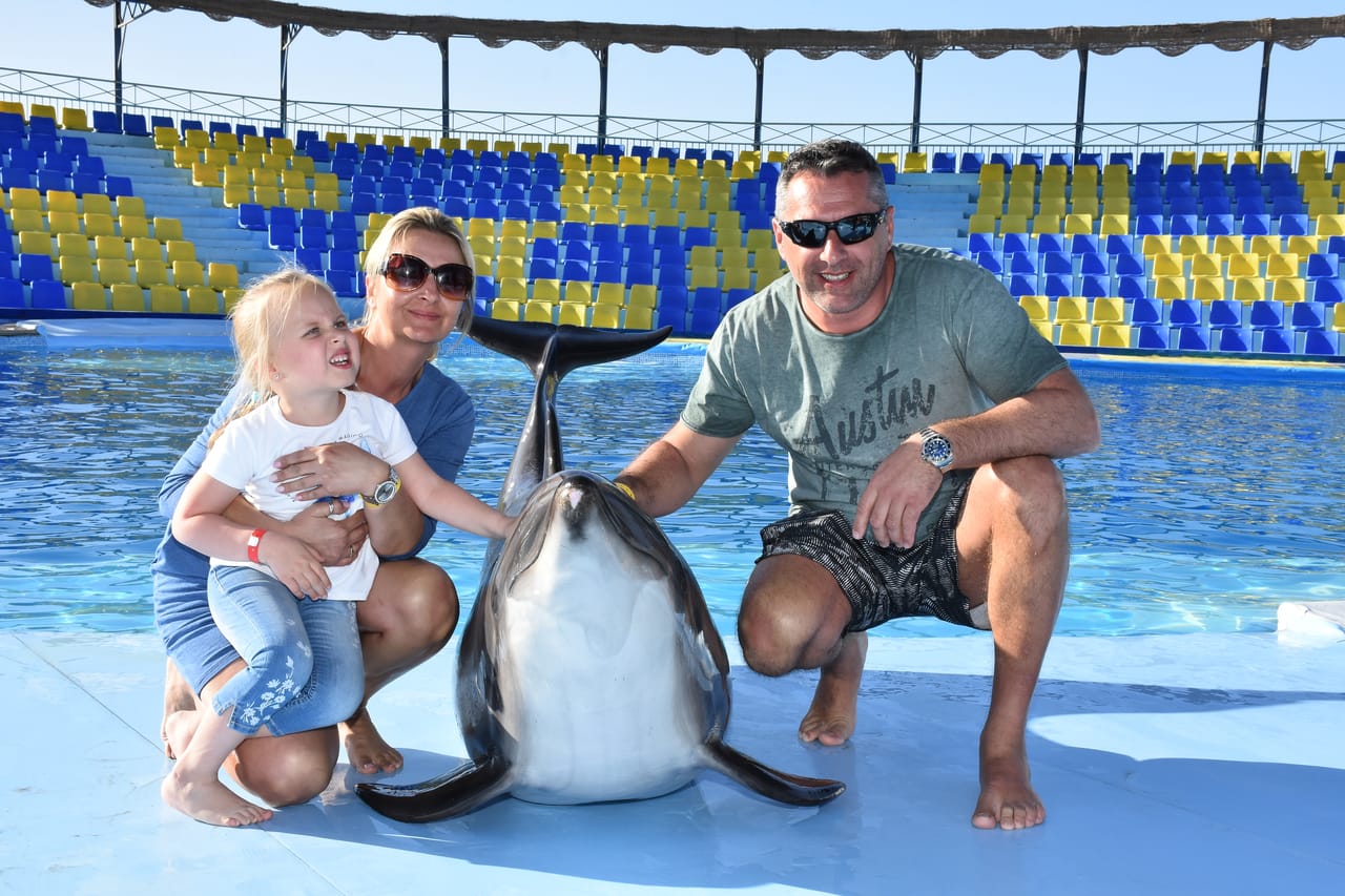 Premium 10 Minutes Dolphin Swimming Experience - Hurghada 6