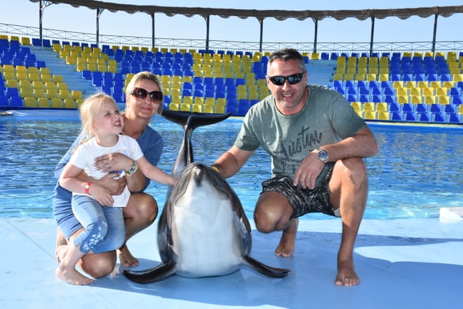 Premium 10 Minutes Dolphin Swimming Experience - Hurghada photo 6