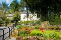 Dove Cottage