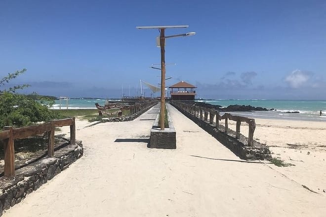 Galapagos Beach