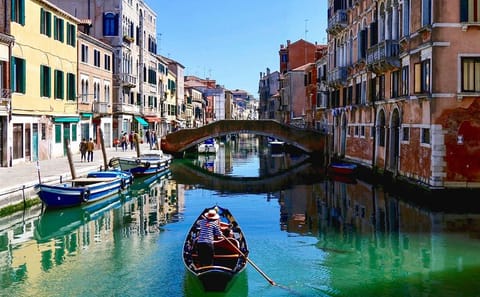 Walking Tour and Mini Cruise in Historic Venice