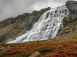 Dynjandi Waterfall & Farm Tour from Isafjordur Port, photo 6