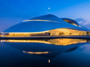 Harbin: City Day Tour with Ropeway & Ice Swimming Show