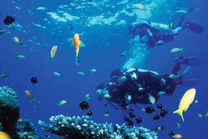 Discover Mahmya Island-A Tropical Paradise in Hurghada